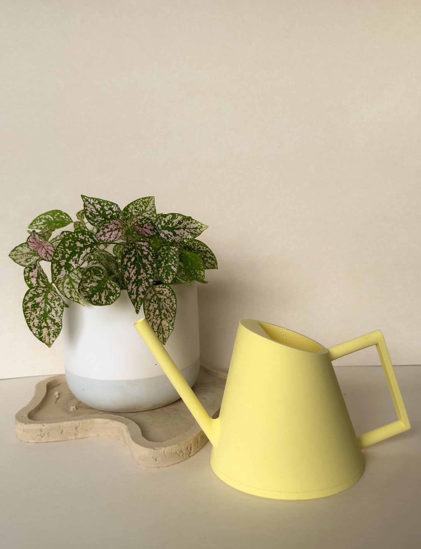 Watering Can