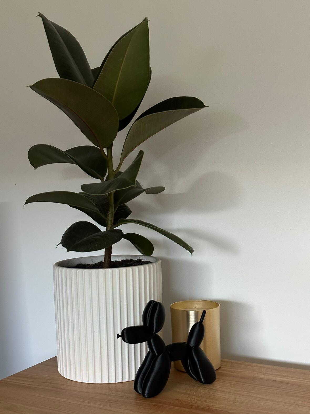 Balloon Dogs