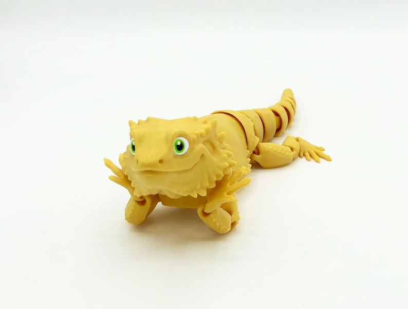 Bearded Dragon