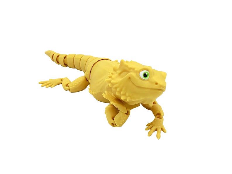 Bearded Dragon