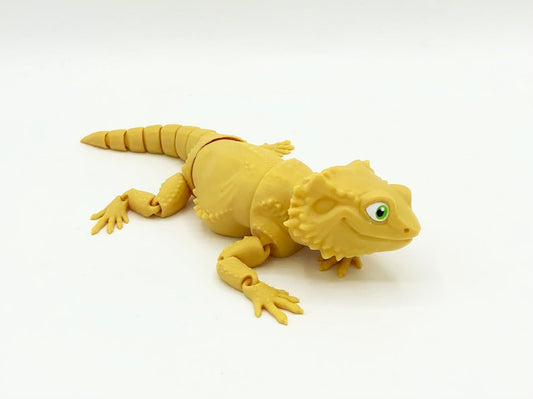Bearded Dragon
